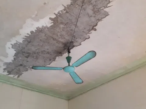 Ròng rã gần 10 năm đi đòi công lý của ông Nguyễn Văn Lành