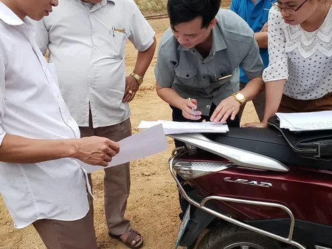 Tuyên Quang: UBND huyện Sơn Dương kịp thời làm rõ sai phạm tại trang trại trái phép