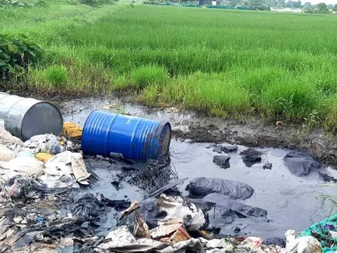 Vén màn hoá chất độc hại được đổ trộm trên Đại lộ Thăng Long