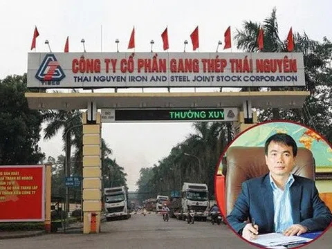 Đại gia bí ẩn nào thâu tóm Công ty Gang Thép Thái Nguyên?