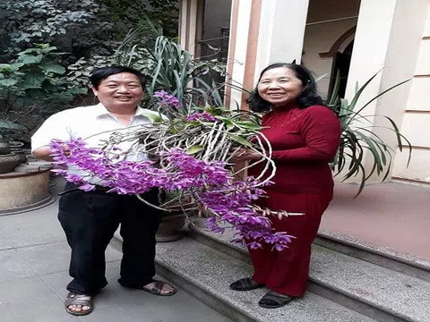 Bài thơ về các dáng thế cây cảnh của Giáo sư Trần Duy Quý