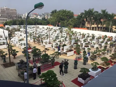 Đừng để thông tin trên mạng ảo làm chao đảo cuộc sống thật