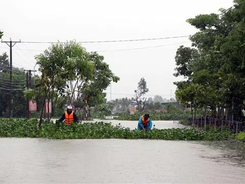 Mưa lũ, triều cường làm sạt lở hàng trăm mét kè biển ở Hà Tĩnh
