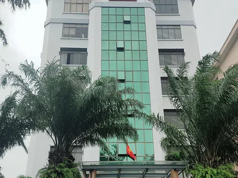 Dự án Vũng Tàu Gateway chưa được cấp phép nhưng vẫn xây dựng?