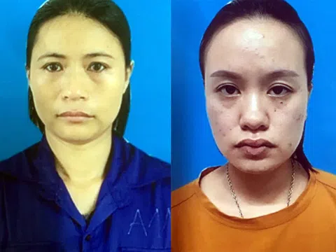 Thuê chung cư mini tổ chức cho 8 phụ nữ mang thai hộ