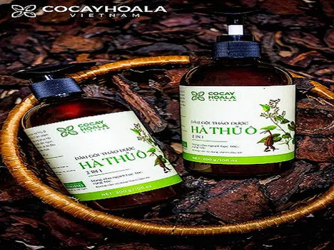 Hà thủ ô có thực sự trị được tóc bạc như lời đồn?