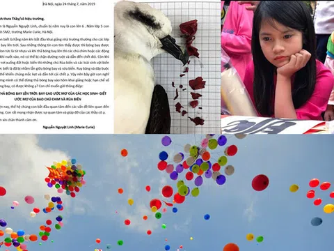 'Ngày khai giảng không bóng bay'