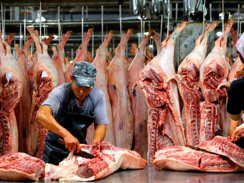 Sản lượng thịt lợn của Việt Nam đứng thứ 6 trên thế giới