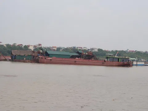 Đi tìm 'chúa tể' sông Hồng (Trailer)