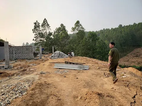 Sơn Dương - Tuyên Quang: Chính quyền "làm ngơ" cho trang trại sai phạm?