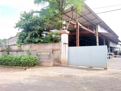 Trảng Bom (Đồng Nai): Đã làm rõ những sai phạm của Công ty TNHH Thành Vinh?