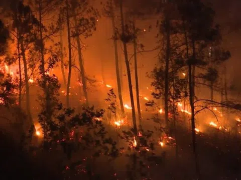 Thương lắm, miền Trung ơi…