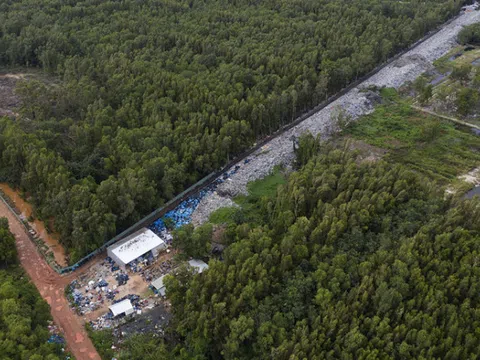 Xe ô tô chở động vật hoang dã đi tiêu thụ bị bắt giữ tại Nghệ An