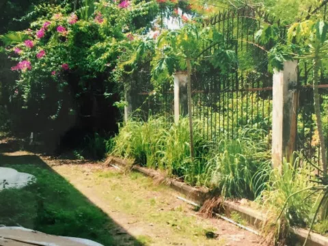 Dĩ An, Bình Dương: Gian nan đòi lại đất cấp 'nhầm' cho người chết?