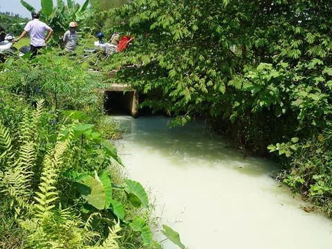 Đà Nẵng: Mương nước bốc mùi bất thường, người dân lo ngại ô nhiễm