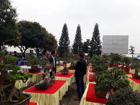 Hội chợ triển lãm SVC Bắc Ninh chào mừng Cách mạng Tháng 8 và Quốc khánh 2/9