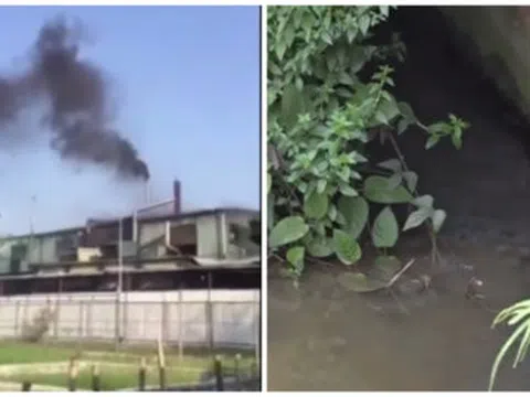 Sunhouse xả thải: Trưởng phòng TN&MT huyện Quốc Oai ‘phớt lờ’ chỉ đạo cấp trên?