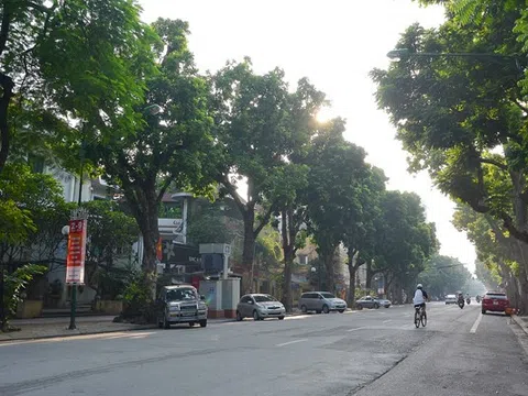 Bắc Bộ sáng sớm có sương mù, Trung Bộ có mưa rào và dông