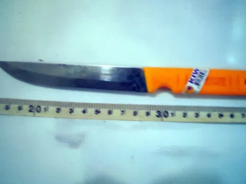 Thấy xe máy bạn đẹp, thiếu nữ 15 tuổi sát hại bạn cướp xe