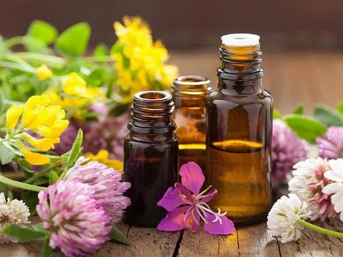 7 mùi hương giúp thư giãn tinh thần