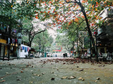 Dự báo thời tiết hôm nay: Bắc bộ nắng hanh, Nam bộ có mưa rào và dông