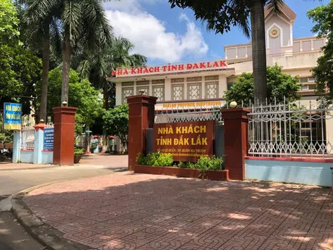 Nữ nhân viên cắt tóc gội đầu mượn bằng cấp 3 để lên làm Trưởng phòng Tỉnh ủy