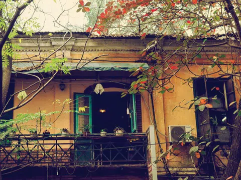 Mùa thu Hà Nội và những lưu luyến, nhớ nhung