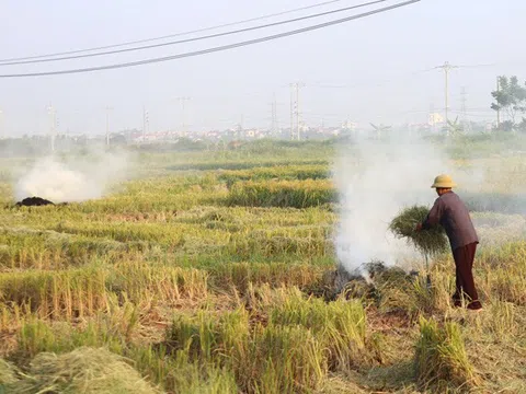 Nông dân đốt rơm rạ sau thu hoạch, khói mù mịt ở ngoại thành Hà Nội