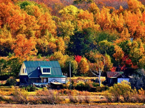 Nước Nga đổ vàng, đẹp nao lòng khi đất trời sang thu