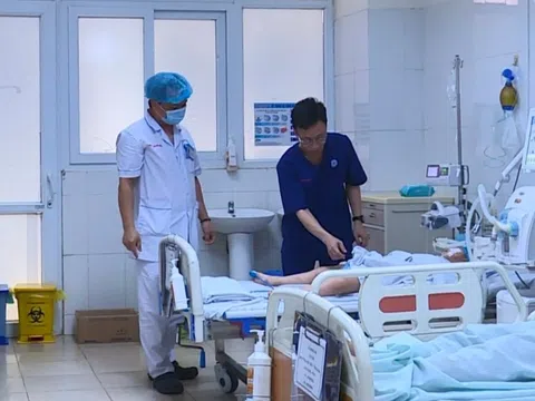 Bị rắn độc cắn khi đang ngủ ban đêm, bé 5 tuổi nguy kịch