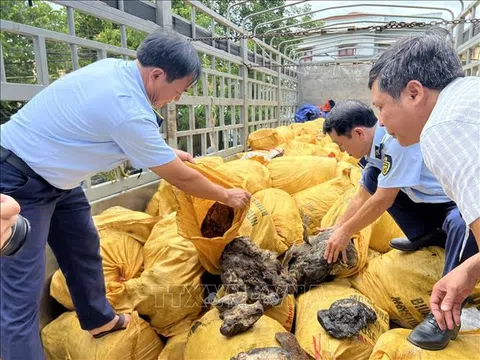 Thu giữ 11 tấn mỡ động vật đang có dấu hiệu phân hủy, không rõ nguồn gốc