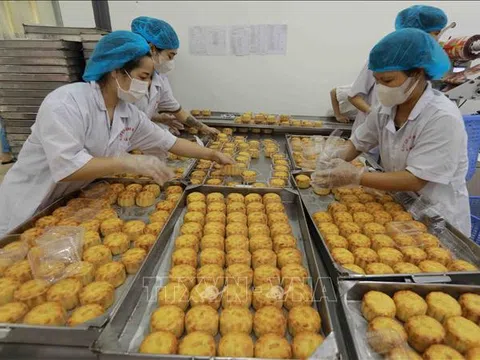 Hà Nội lập các đoàn kiểm tra an toàn thực phẩm dịp Tết Trung thu