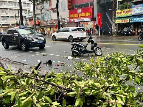 TP Hồ Chí Minh: Một người tử vong do nhánh cây xanh gãy trong mưa lớn