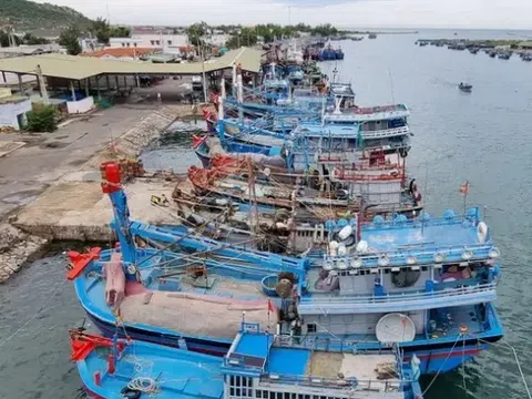 Bão số 3 mạnh lên thành siêu bão: Thủ tướng chỉ đạo tập trung ứng phó khẩn cấp