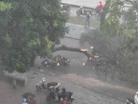 Bão còn chưa về nhưng Thủ Đô Hà Nội đã có những thiệt hại đầu tiên