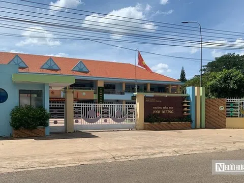 Sa thải trái luật, trường mầm non bị buộc phải bồi thường và nhận lại nhân viên