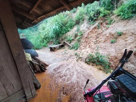 Yên Bái: 3 người chết 4 người bị thương do sạt lở đất