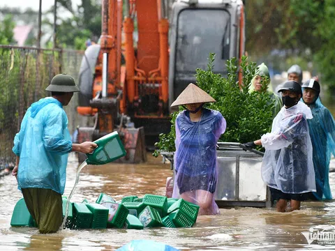 Lũ sông Hồng trên báo động 2, người dân ngoài đê hối hả chạy lụt