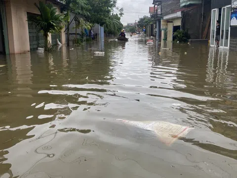 Khẩn Thiết Kêu Gọi Cứu Trợ : Xã Đan Thượng, Hạ Hòa, Phú Thọ Đang Bị Cô Lập