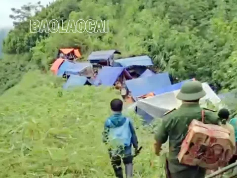 Thấy nguy cơ sạt lở đất, trưởng thôn đưa 115 người lên núi lánh nạn an toàn