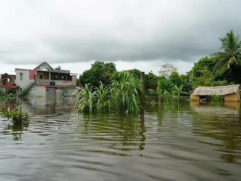 Hàng trăm hộ dân ở Thanh Hóa bị cô lập trong nước lũ