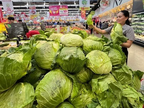 Thủ tướng: Không để găm hàng, nâng giá bất hợp lý các mặt hàng thiết yếu sau mưa lũ