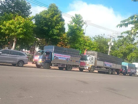 Cứu trợ đồng bào bão lũ: Bữa cơm miễn phí và phí cầu đường