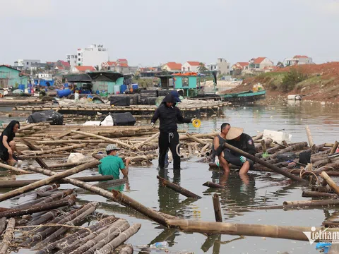 Sức cùng lực kiệt sau bão dữ, chủ lồng oằn vai ‘gánh’ nợ nghìn tỷ