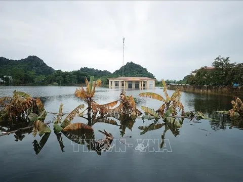Nước vẫn ngập sâu, đời sống người dân nhiều nơi ở Mỹ Đức (Hà Nội) gặp khó khăn