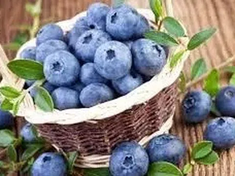 Bác sĩ chia sẻ loại trái cây làm giảm nguy cơ mất trí nhớ