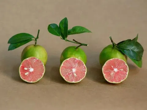 2 lý do nên sử dụng chanh đào vào mùa thu