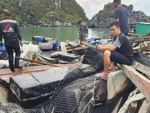 Thủ tướng: Khẩn trương thực hiện các chính sách hỗ trợ nông dân phục hồi sản xuất sau bão số 3