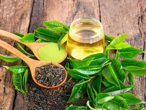 6 loại trà làm chậm lão hóa