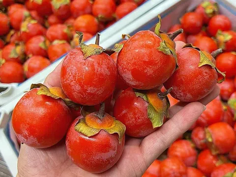 Dân buôn tiết lộ sự thật về loại hồng thạch đang ‘nhuộm đỏ’ chợ Việt